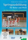 Springausbildung für Reiter und Pferd