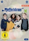Die Pfefferkörner Vol. 14 - Flg. 170-182 [2 DVDs