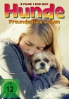 Hunde - Freunde fürs Leben