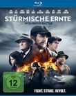 Stürmische Ernte