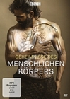 Geheimnisse des menschlichen Körpers