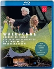 Berliner Philharmoniker Waldbühne 2018 -...