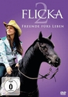 Flicka 2 - Freunde fürs Leben