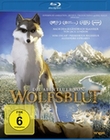 Die Abenteuer von Wolfsblut