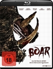 Boar - Uncut