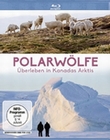 Polarwölfe - Überleben in Kanadas Arktis
