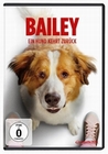 Bailey - Ein Hund kehrt zurück