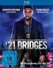 21 Bridges