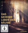Das geheime Leben der Bäume