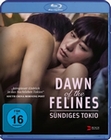 Dawn of the Felines - Sündiges Tokio