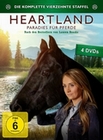 Heartland - Paradies für Pferde, Staffel 14