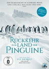 Rckkehr zum Land der Pinguine