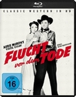Flucht vor dem Tode