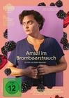 Amsel im Brombeerstrauch