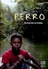 Perro