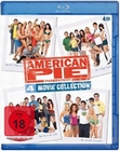 American Pie - 4 Movie Collection