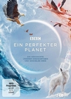 EIN PERFEKTER PLANET