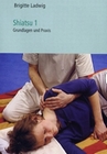 Shiatsu Teil 1 - Einführung