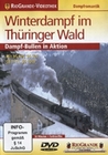 Winterdampf im Thüringer Wald