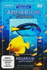 Aquarium Träume