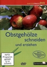 Obstgehlze schneiden und erziehen