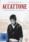 Accattone - Wer nie sein Brot mit Trnen ass