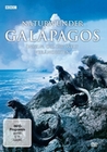 Naturwunder Galapagos - Inseln, die die Welt ...