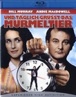 Und täglich grüsst das Murmeltier