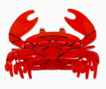 Large Crab Hair Claw Clip