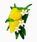Large Lemon and Flowers Hair Claw Clip