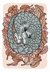 Pangolin Plakat