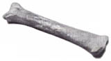2001 Knochen